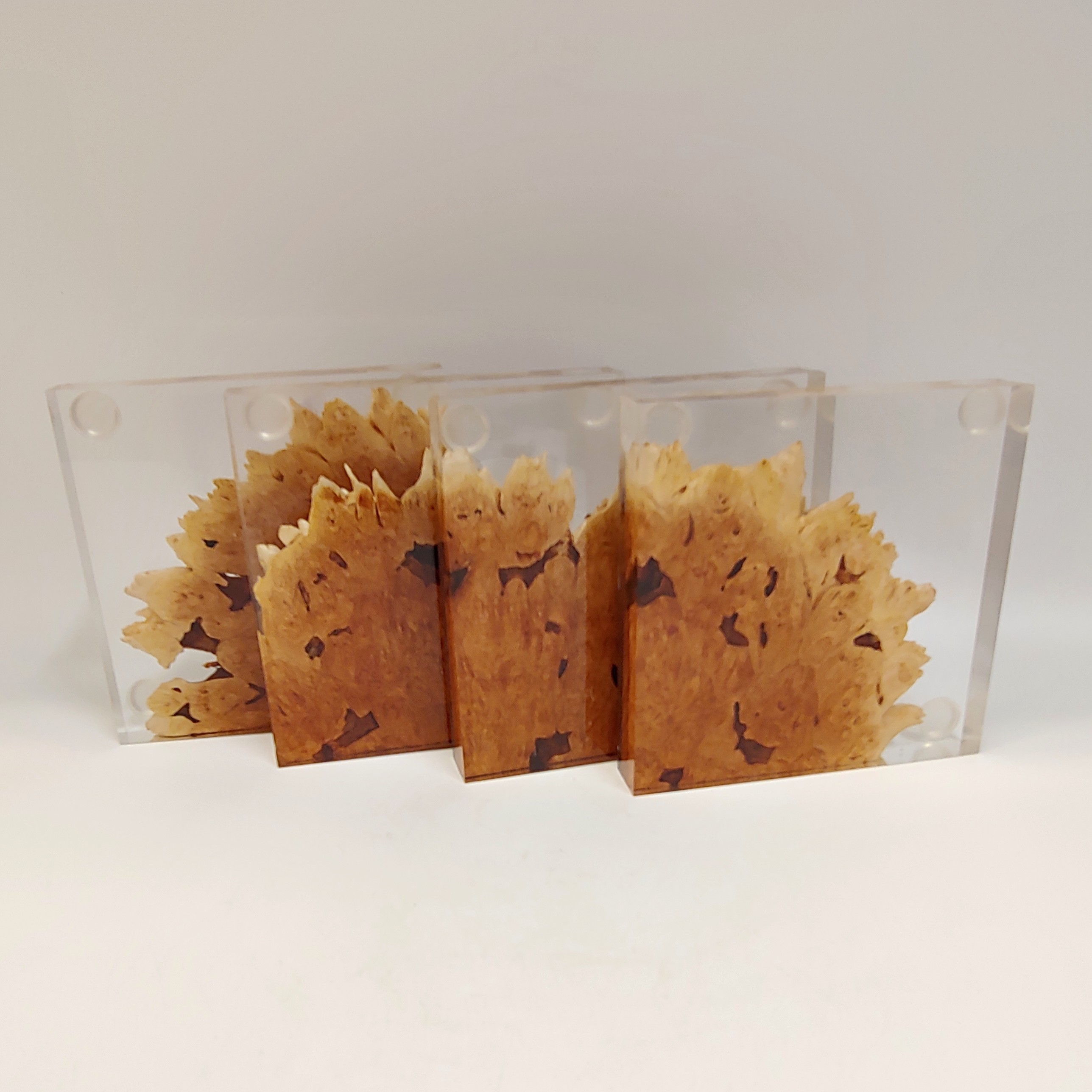 SH180 Coaster Set of Four Maple & Clear $80 at Hunter Wolff Gallery